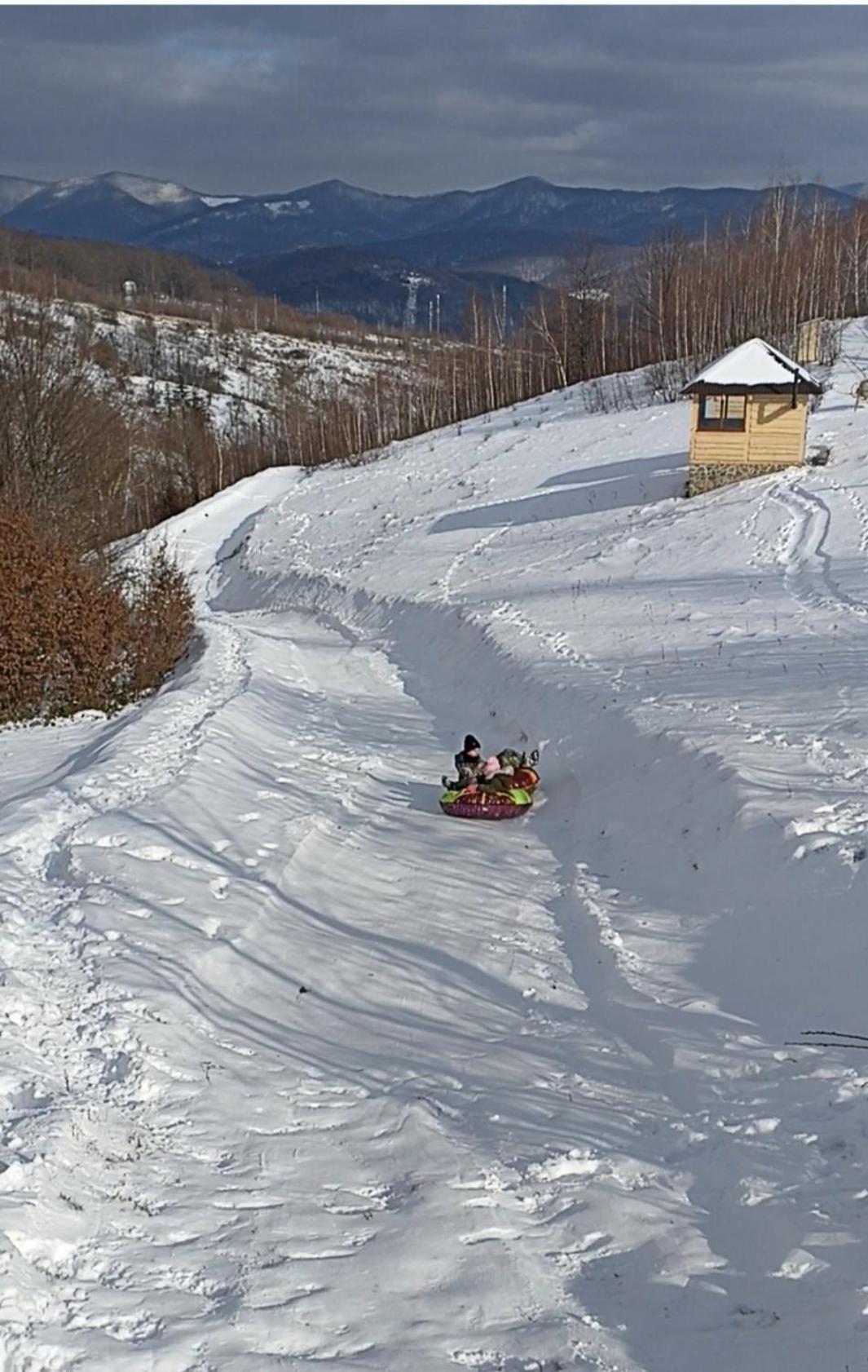 у льотчика Вілла *
