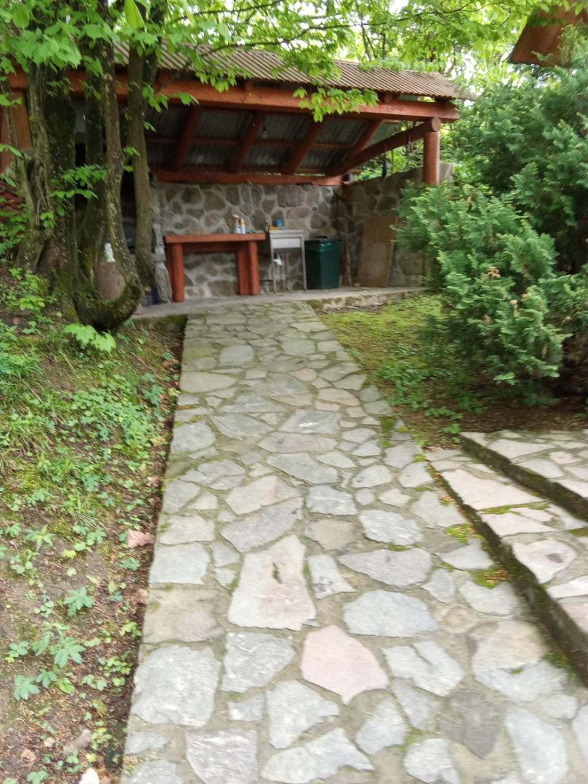 у льотчика Вілла *